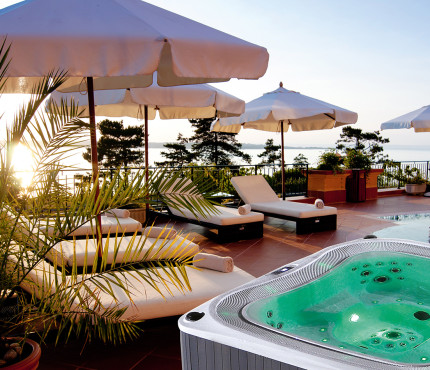 Spas à Usage Professionnel