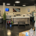 Intérieur spacieux du showroom Cosy et Piscine / ECL Outdoor à Firminy, présentant une variété de jacuzzis et spas de nage. L'agencement inclut des décors zen comme une statue de Bouddha et des plantes vertes, créant une atmosphère relaxante pour les visiteurs. Des accessoires de piscine et des écrans affichant des informations sont également visibles, offrant une expérience complète aux clients.